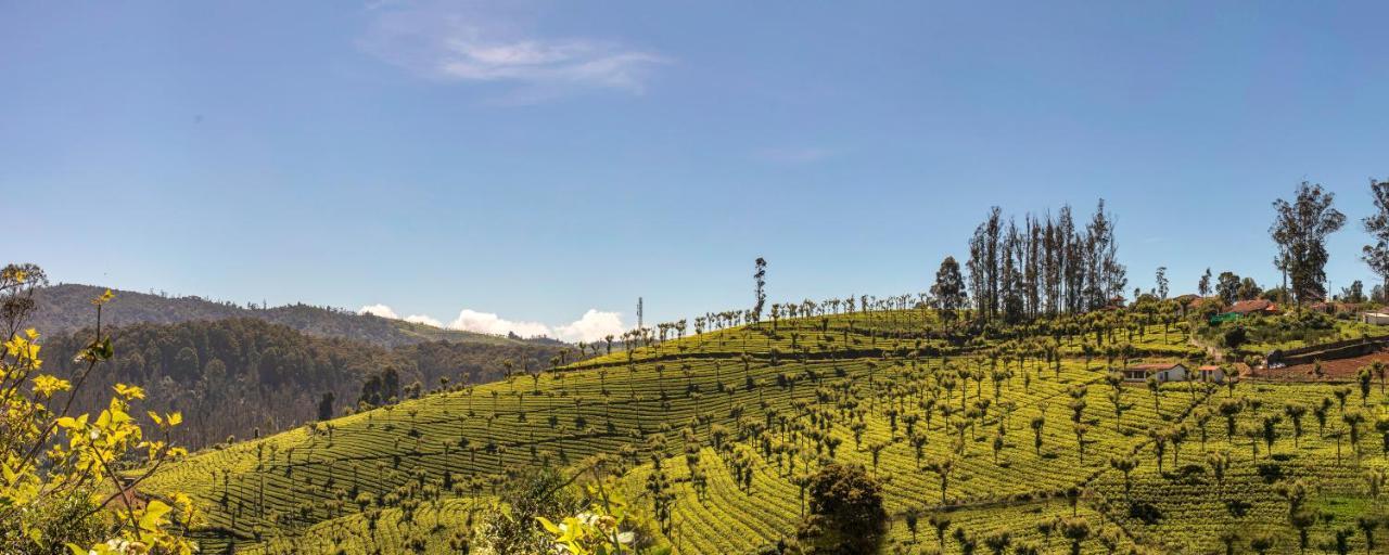 Club Mahindra Derby Green, Ooty Eksteriør bilde